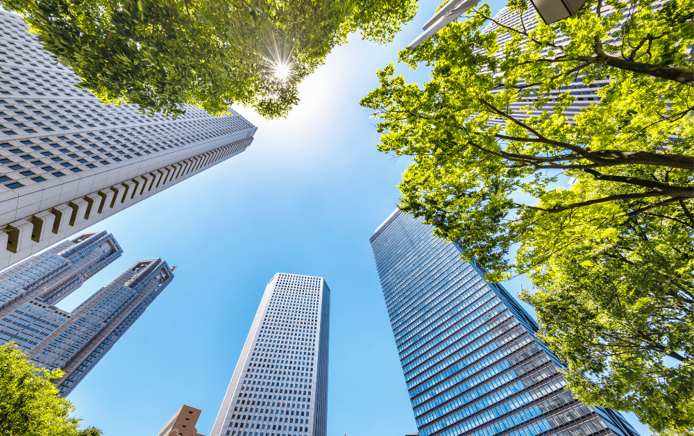 5-Apr-17-2023-04-31-50-1747-AM